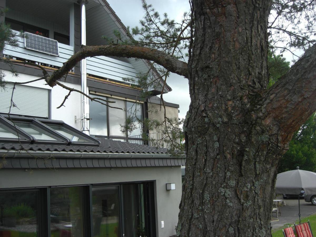 Ferienwohnung Alter Weinberg Saarburg Eksteriør bilde