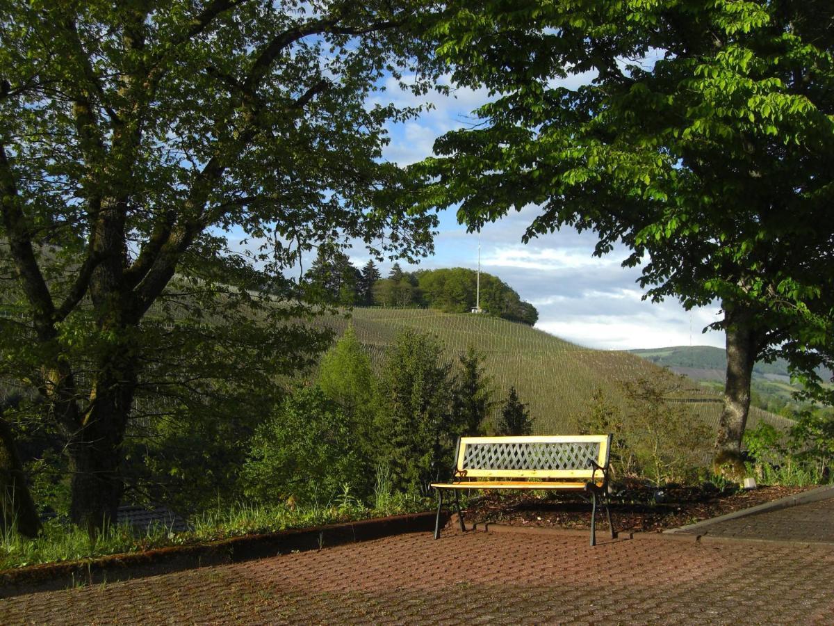 Ferienwohnung Alter Weinberg Saarburg Eksteriør bilde